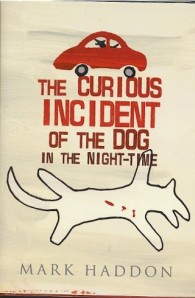 the-curious-incident-of-dog-in-the-night-time